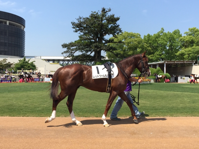 京都２Ｒ３歳未勝利ダート１８００ｍ☆４着☆ レッドファルダ