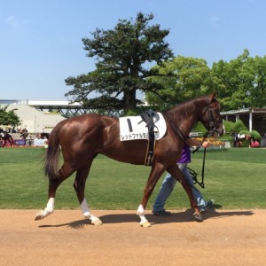 京都２Ｒ３歳未勝利ダート１８００ｍ☆４着☆