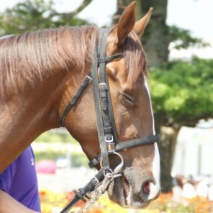 京都2R3歳未勝利ダート1800ｍ☆4着☆