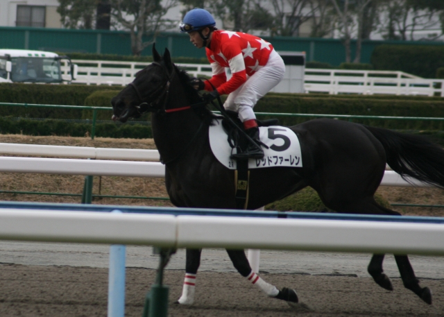 第１回小倉第６日２Ｒ４歳以上５００万下１０００Ｍダート レッドファーレン