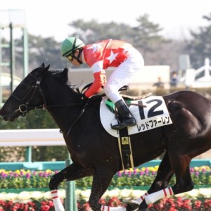 新馬戦　ゴール後