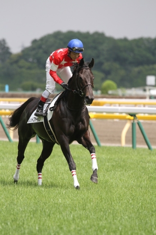 返し馬 レッドファーレン