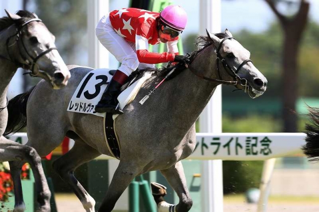 新潟　デビュー戦 レッドルヴァン