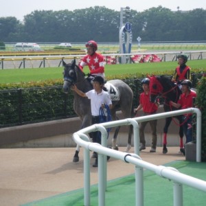 2015年6月13日　東京　500万下