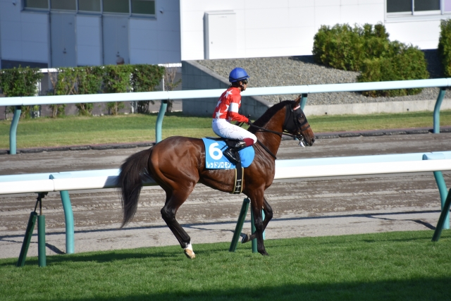 ワールドＪ返し馬 レッドソロモン