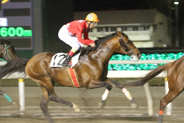 スタート後　1週目 レッドソロモン