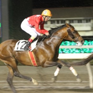 スタート後　1週目