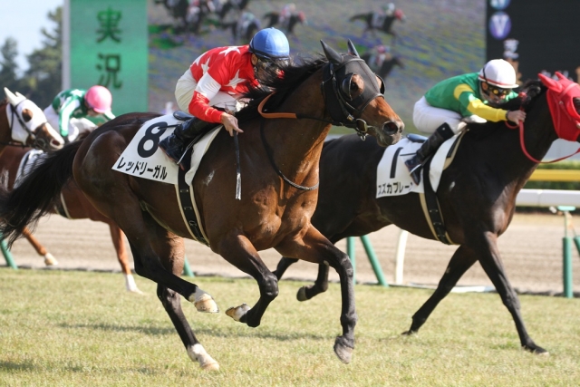 勝利 レッドリーガル