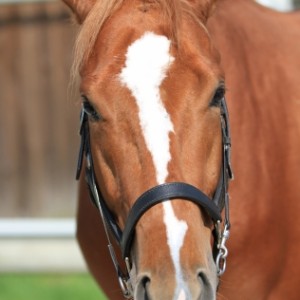 2014.5.31 ミホ分場 