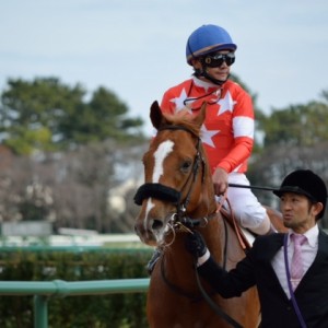 新馬戦　レース後