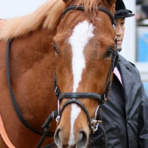 2015.3.7　中山5Ｒ