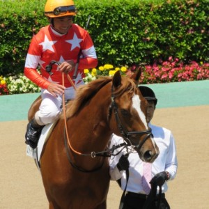 東京5Ｒパドック１