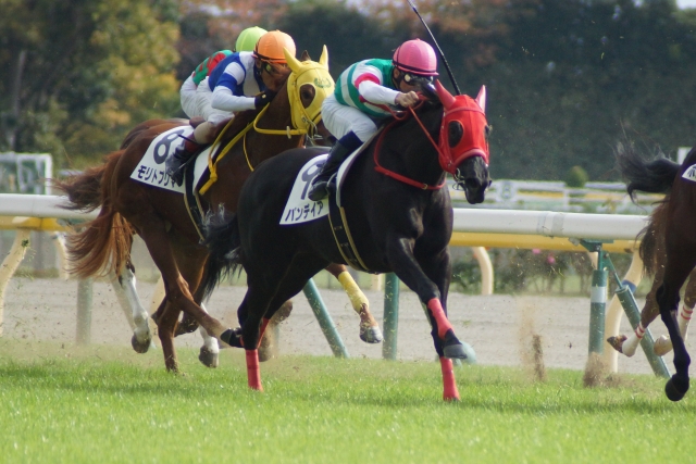 新馬戦 パンデイア