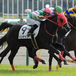 2014年11月16日　新馬戦
