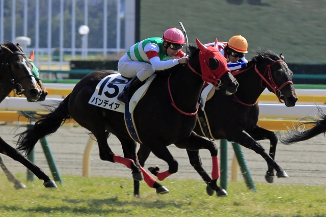 2015年2月15日　未勝利戦 パンデイア