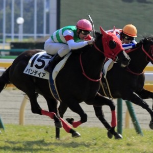 2015年2月15日　未勝利戦