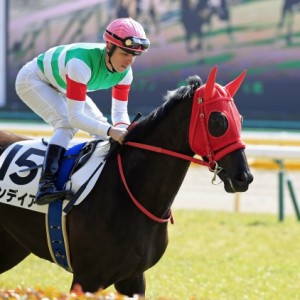 2015年2月15日　未勝利戦