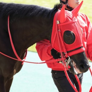 2015年2月15日　未勝利戦