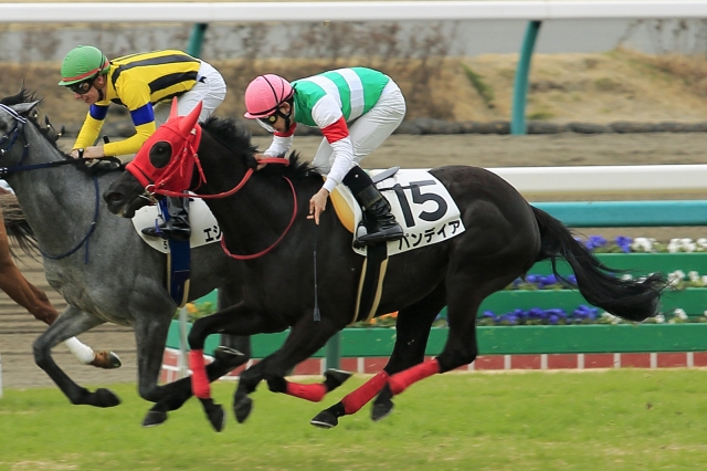 2015年3月1日　3歳未勝利戦 パンデイア