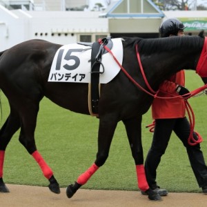 2015年3月1日　3歳未勝利戦