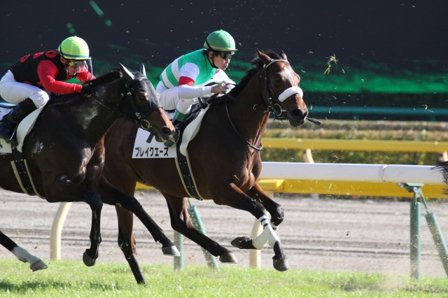新馬戦　直線 ブレイクエース
