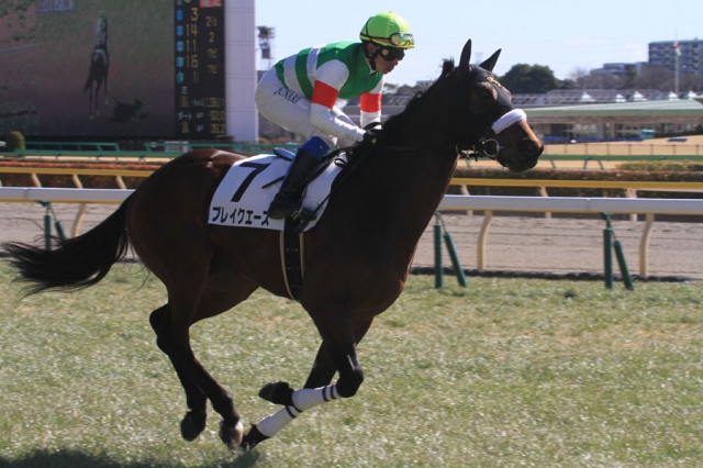 府中未勝利 ブレイクエース