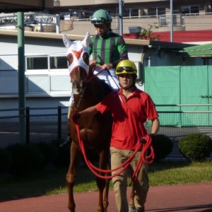 名古屋競馬　パドック
