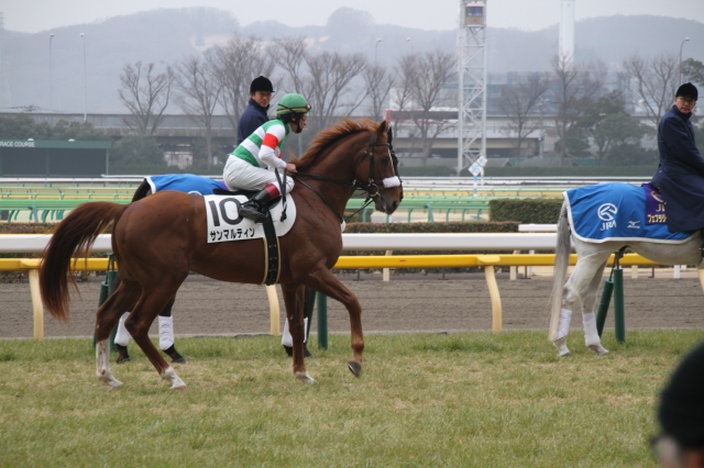 500万下本場場入場 サンマルティン