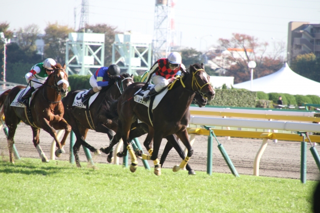 500万下直線 サンマルティン