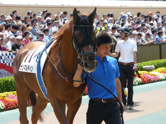 500万下　パドック サンマルティン