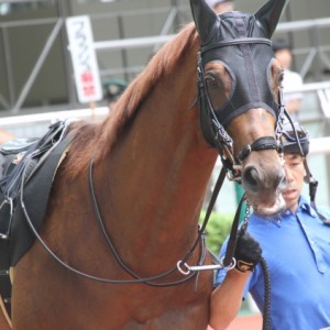 南相馬特別パドック