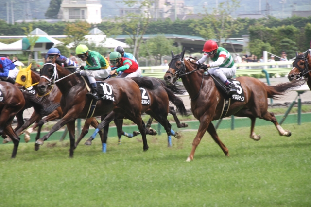 南相馬特別　直線 サンマルティン