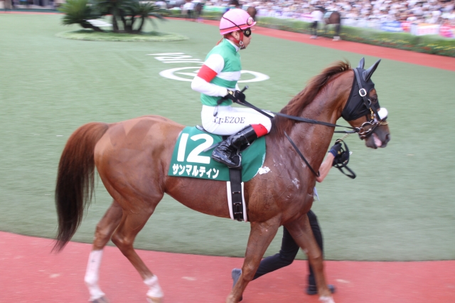 パドック サンマルティン