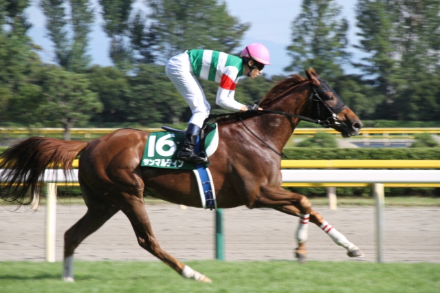 直線 サンマルティン