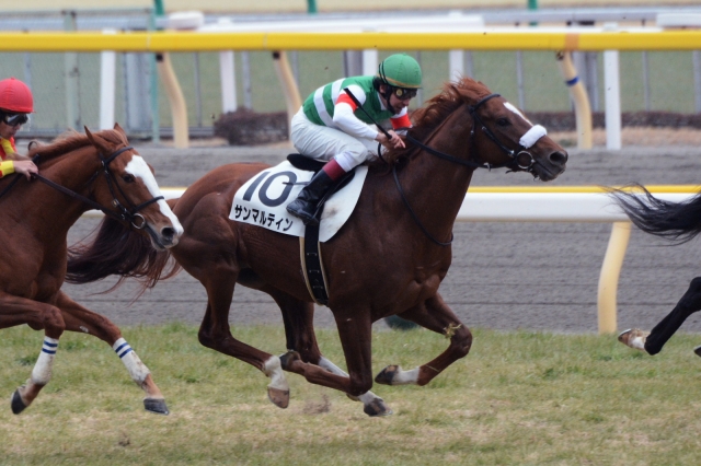 3歳500万下 サンマルティン