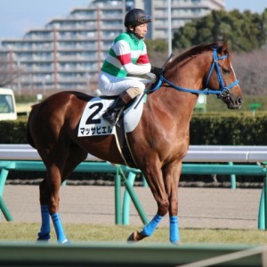 新馬戦馬場入場