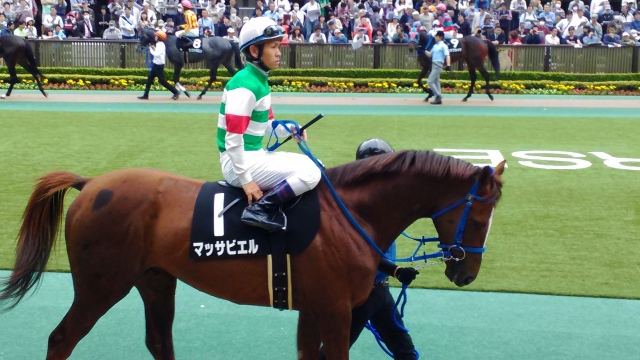 新緑賞 マッサビエル