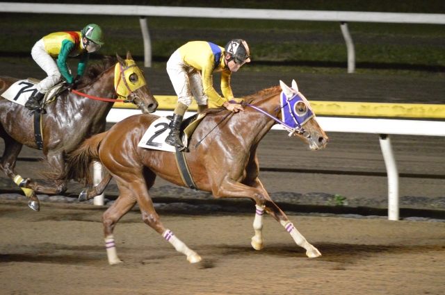 船橋競馬場 パーフェクトビュー