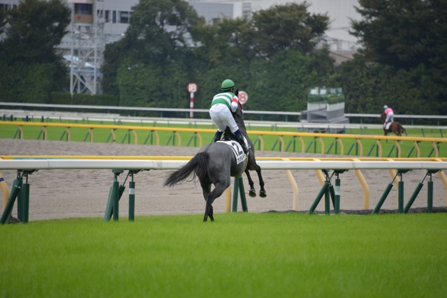 ２歳未勝利　返し馬 ブランダルジャン
