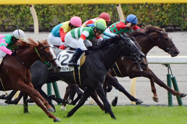 2歳未勝利 ブランダルジャン