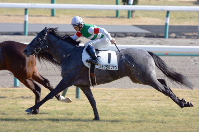3歳未勝利 ブランダルジャン