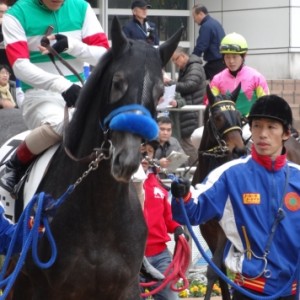 15.3.14中山ダ1,800ｍ未勝利戦①