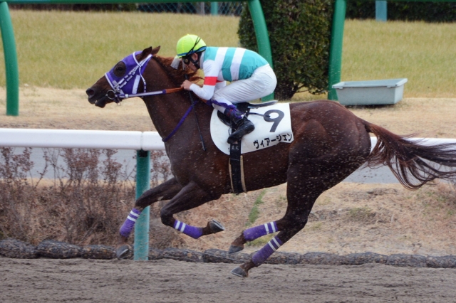3歳未勝利 ヴィアージェン