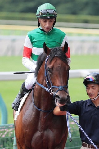2014.8.24 新潟2R 優勝 サフィロス