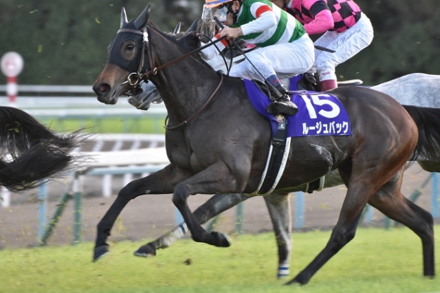 ラストスパート！ ルージュバック