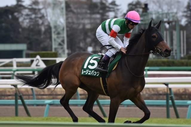 返し馬 ルージュバック