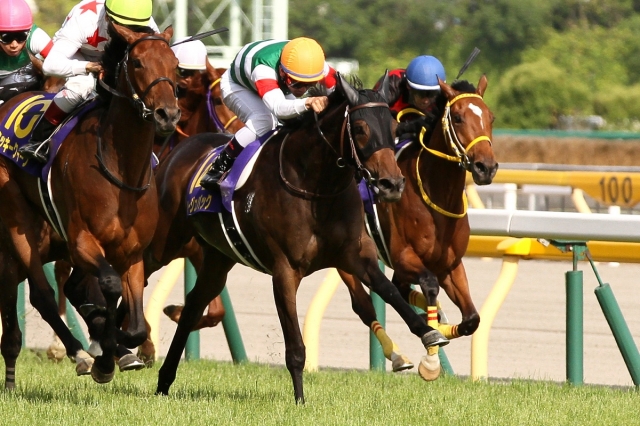 2015.5.24 オークス（Ｇ１） ルージュバック