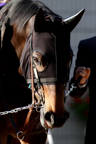2015.11.15 エリザベス女王杯 ルージュバック