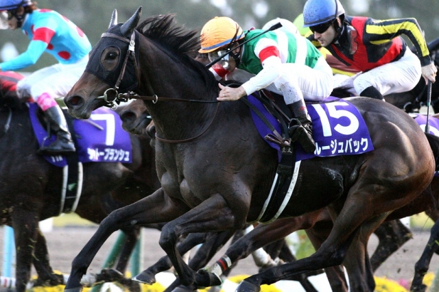 2015.11.15 エリザベス女王杯 ルージュバック