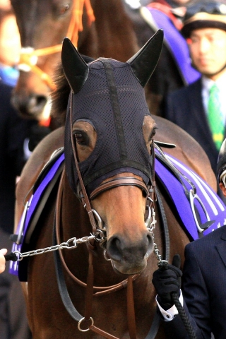 2017.12.24 中山11R 有馬記念 ルージュバック